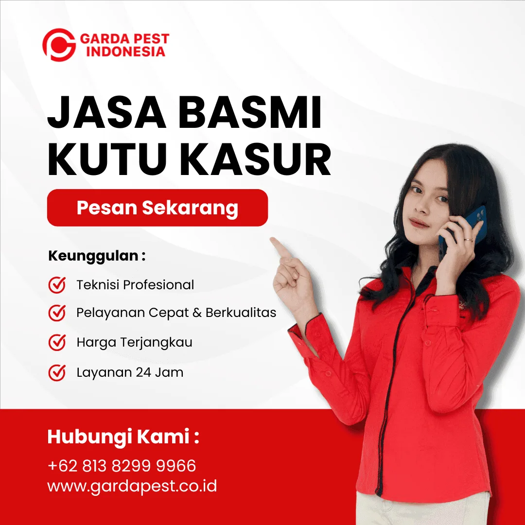 Jasa Pembasmi Kutu Kasur Terdekat