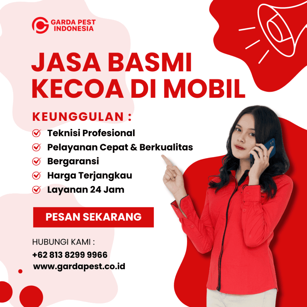 Basmi Kecoa di Mobil Semarang