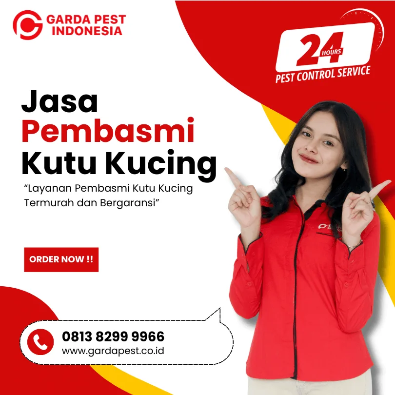Jasa Pembasmi Kutu Kucing Termurah