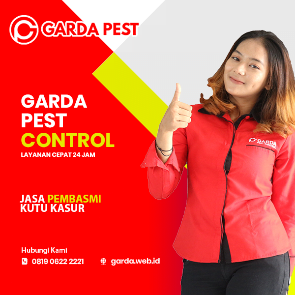 Jasa Pembasmi Kutu Kasur Profesional