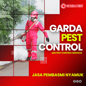 Jasa Fogging Nyamuk di Cirebon Kualitas Terbaik