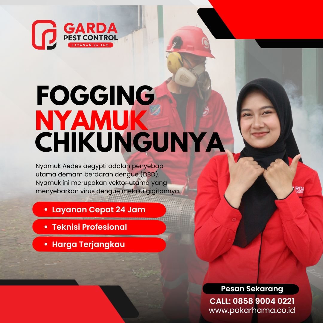 Pest Control Pembasmi Nyamuk di Tangerang Spesialis DBD