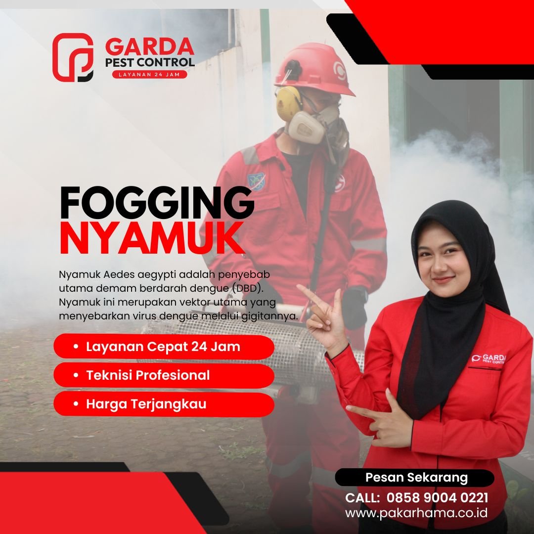 Jasa Fogging Pengasapan Nyamuk di Cirebon Spesialis DBD