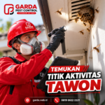 Jasa Pengusir Tawon dan Lebah Basmi Sampai Tuntas