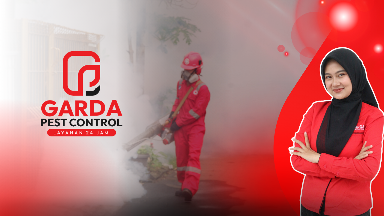 Jasa Pembasmi Hama di Semarang Berpengalaman