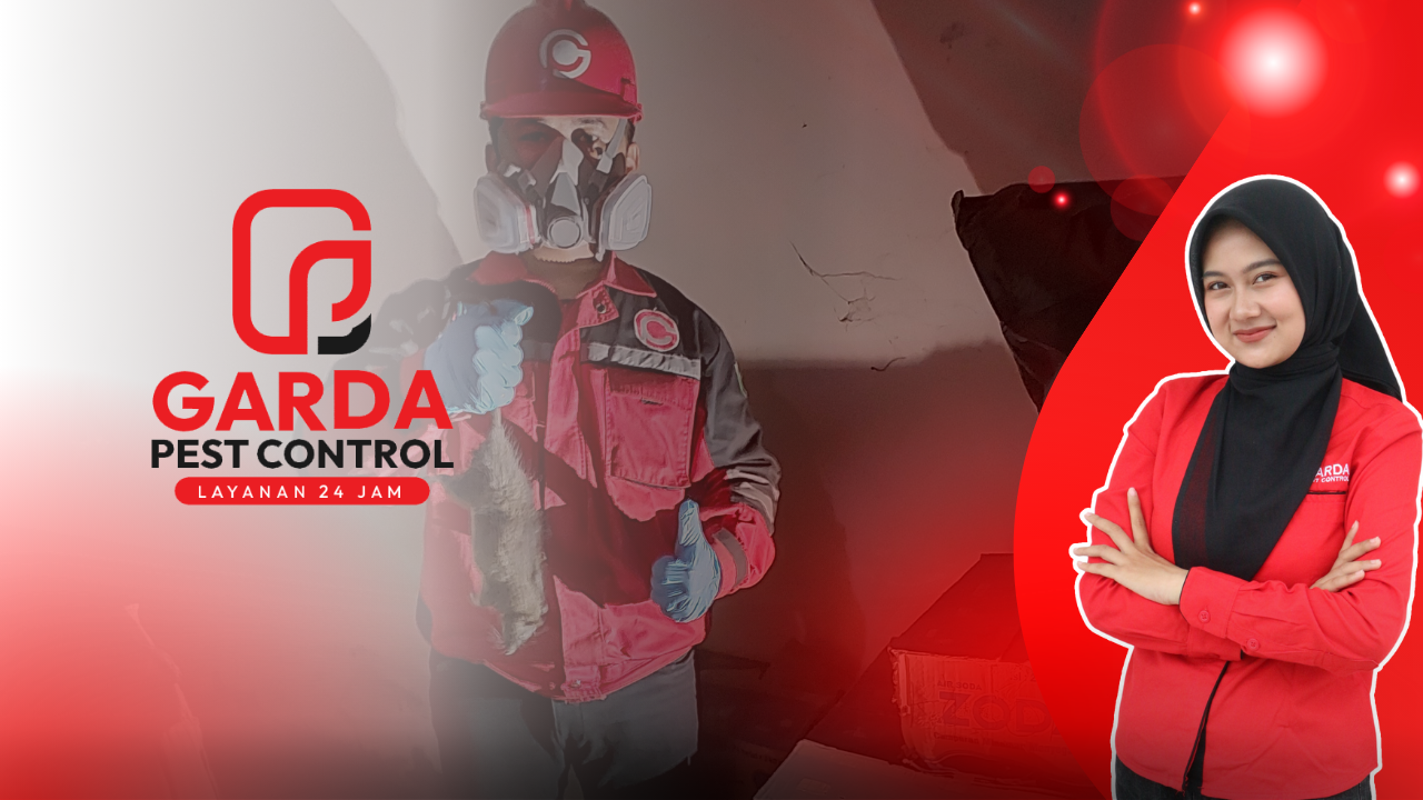 Jasa Pembasmi Tikus di Tangerang Selatan Terbaik No.1