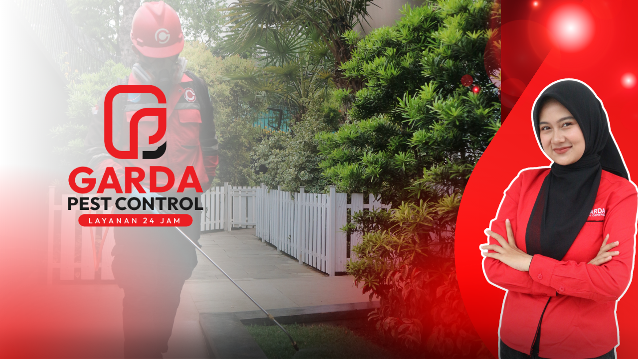 Jasa Pembasmi Hama di Bogor Berkualitas Tersertifikasi