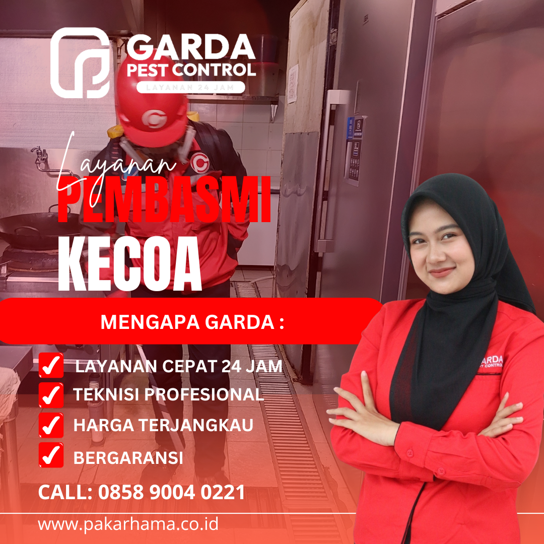 Jasa Pembasmi Kecoa di Pekalongan