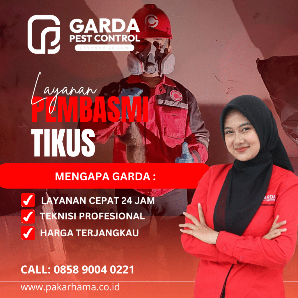 Jasa Pembasmi Tikus di Jakarta Respon Cepat 24 Jam