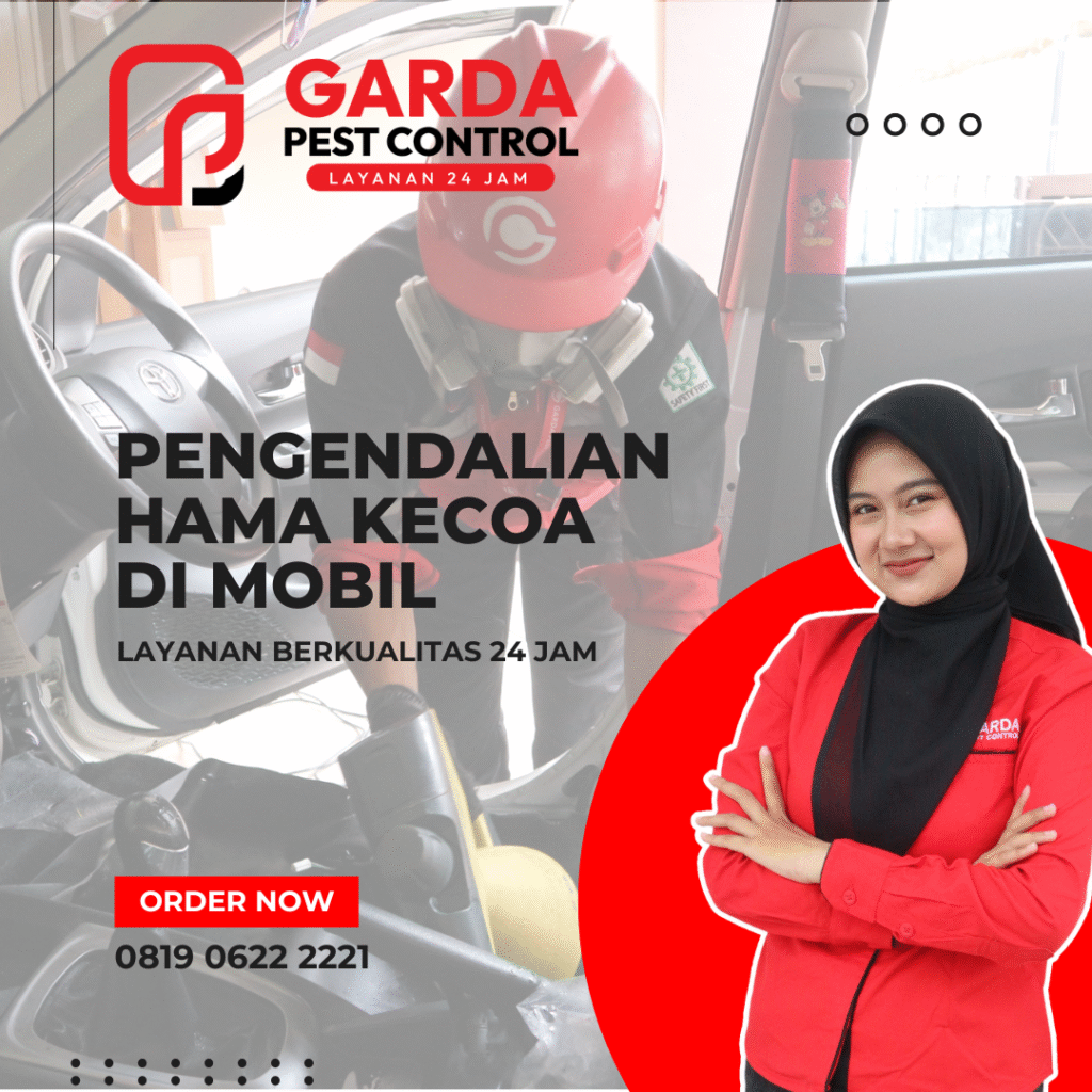Jasa Pembasmi Kecoa Mobil Boyolali Solusi Tuntas Bergaransi