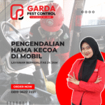 Jasa Pembasmi Kecoa Mobil di Malang Solusi Tuntas Bergaransi