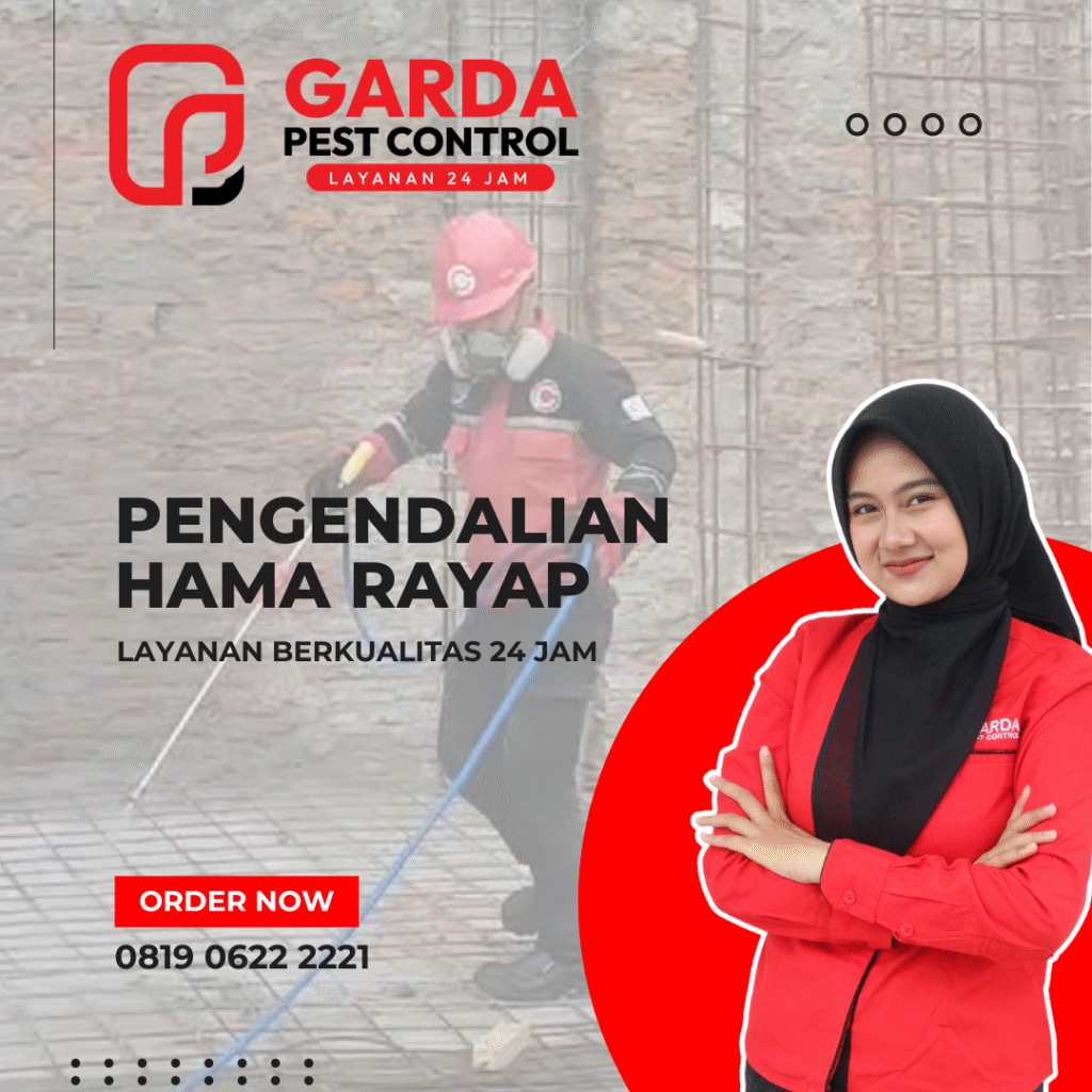 Jasa Anti Rayap Terbaik dan Murah