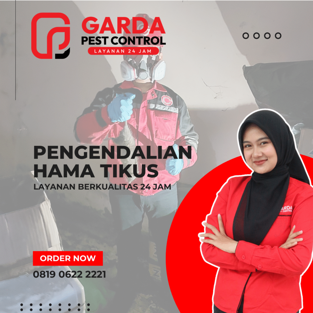 Jasa Pembasmi Tikus Terdekat