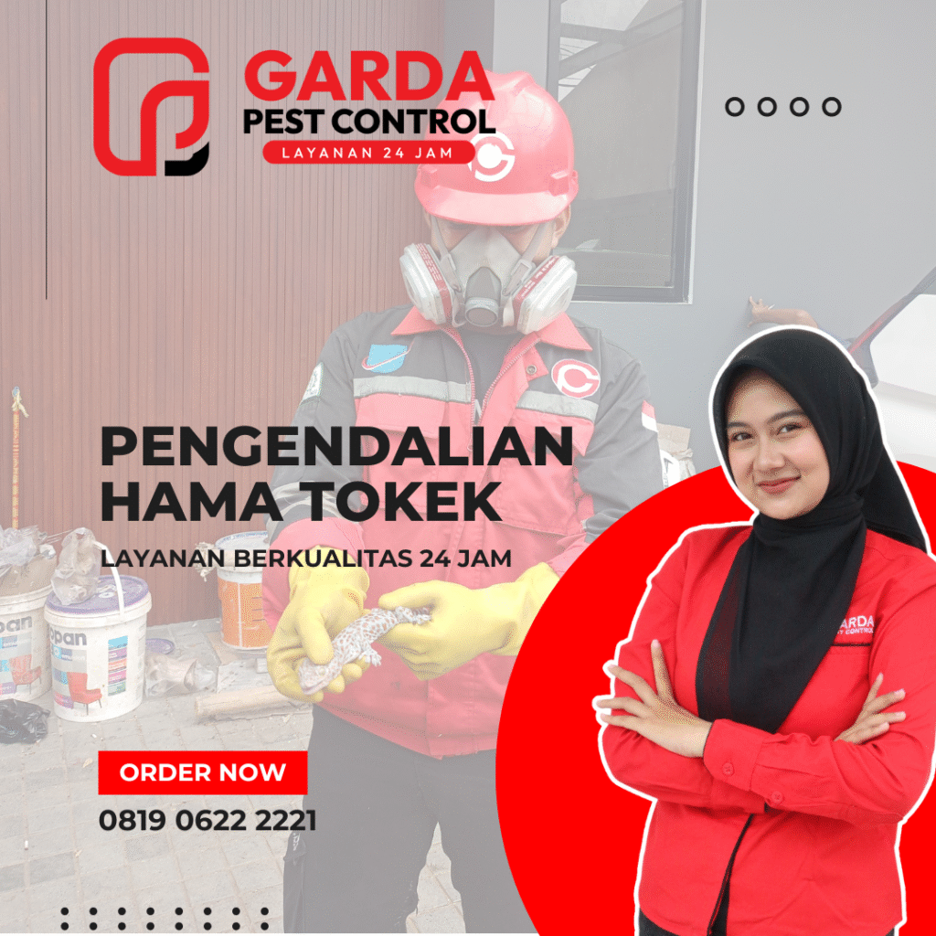 Jasa Pembasmi Tokek Terdekat Layanan 24 Jam