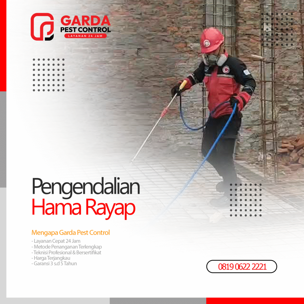 Jasa Anti Rayap Terdekat & Terbaik di Indonesia