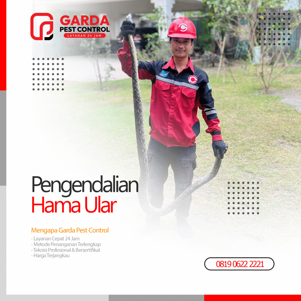 Jasa Pawang Ular Terdekat Pembasmi Ular Profesional