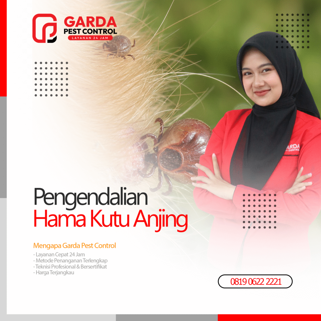 Jasa Pembasmi Caplak Kutu Anjing Terdekat Garda Pest Control
