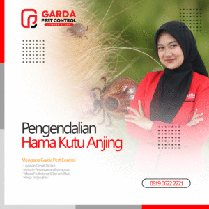 Jasa Pembasmi Caplak Kutu Anjing Terdekat Garda Pest Control