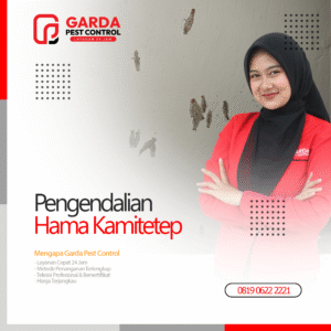 Jasa Pembasmi Kamitetep Terdekat Garda Pest Control