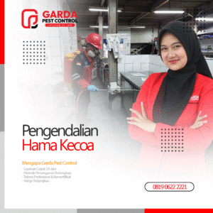 Jasa Pembasmi Kecoa Terdekat di Malang