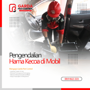 Jasa Pembasmi Kecoa di Mobil Terdekat