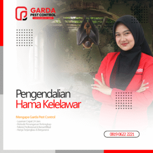 Jasa Pembasmi Kelelawar Terdekat Garda Pest Control