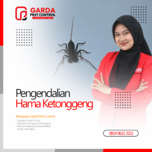 Jasa Pembasmi Ketonggeng Terdekat Garda Pest Control