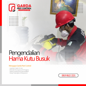 Jasa Pembasmi Kutu Kasur Terdekat & Terbaik