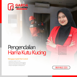 Jasa Pembasmi Kutu Kucing Terdekat Bergaransi