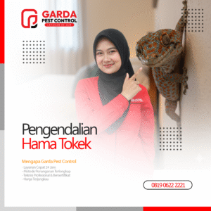 Jasa Pembasmi Tokek Terdekat Panggilan 24 Jam