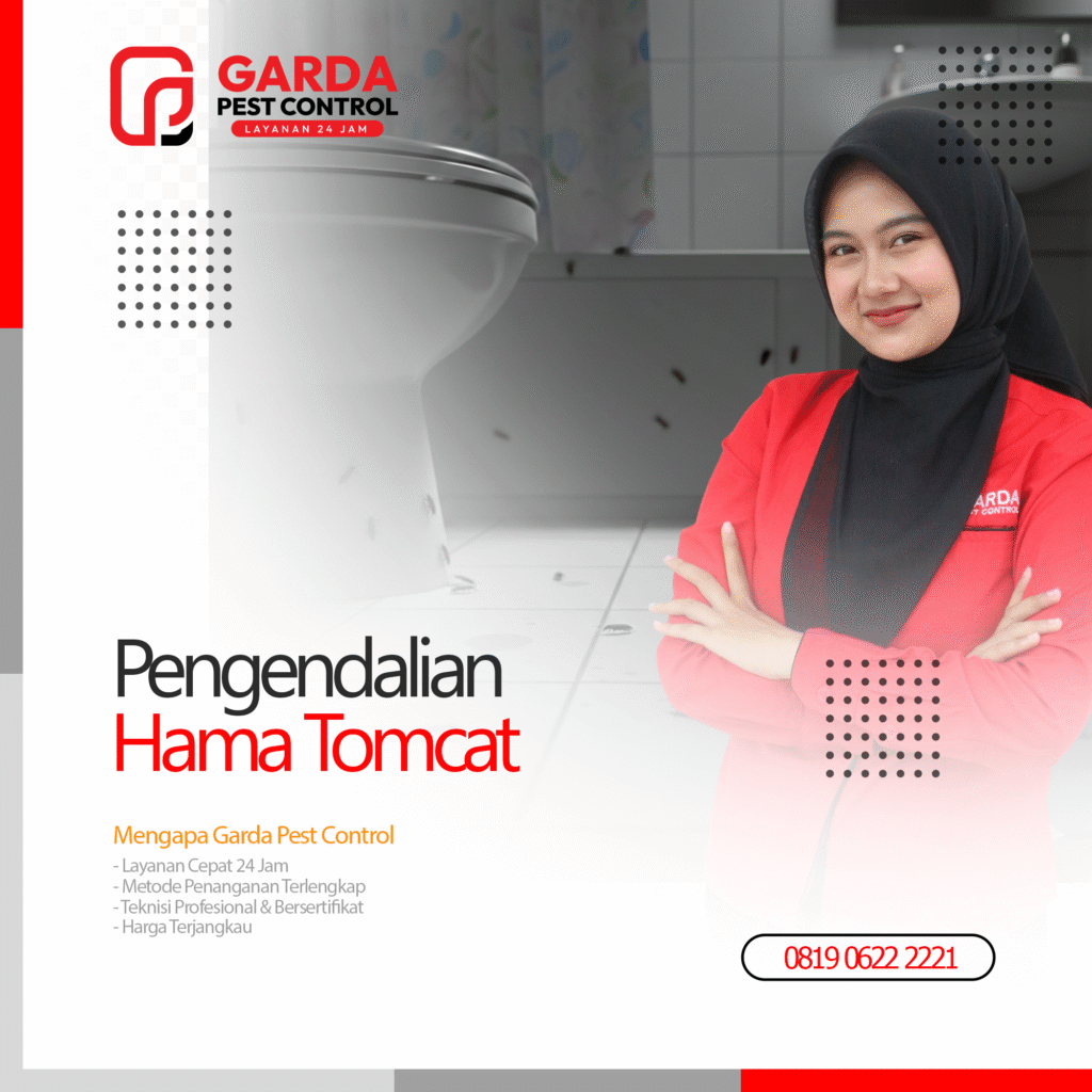 Jasa Pembasmi Tomcat Terdekat Garda Pest Control