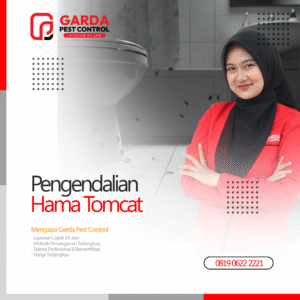 Jasa Pembasmi Tomcat Terdekat Garda Pest Control