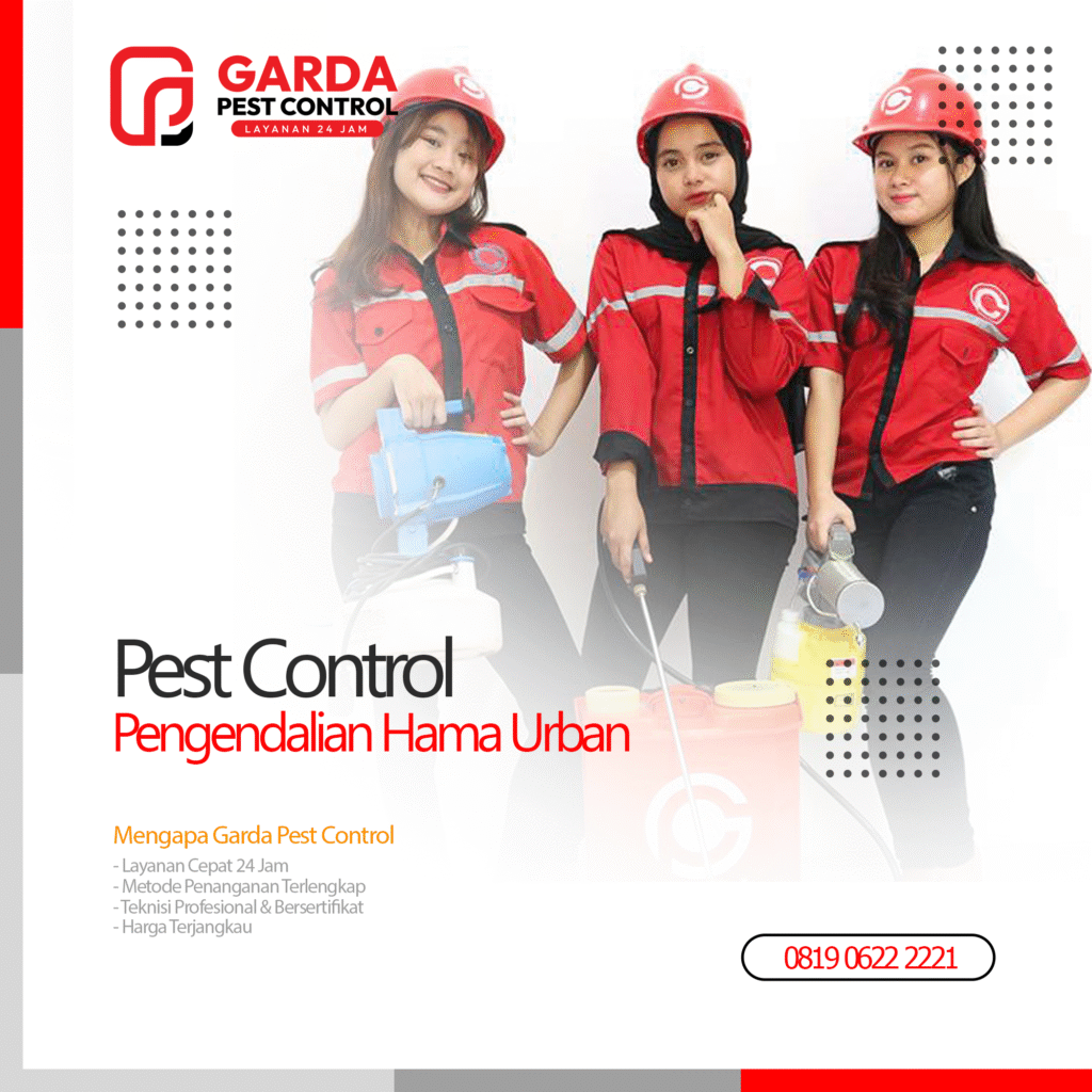 Jasa Pembasmi Ulat Bulu di Tegal Terhebat No.1