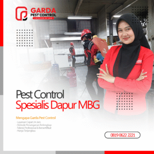 Pest Control Spesialis Dapur MBG SPPG