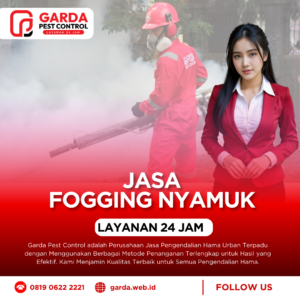 Jasa Fogging Nyamuk Demam Berdarah di Depok
