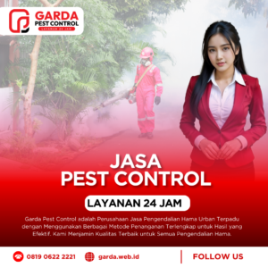 Jasa Fogging Nyamuk Pasuruan Terpercaya & Terjangkau