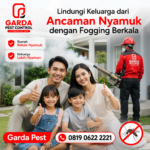 Biaya Jasa Fogging DBD di Boyolali dan Panduan Lengkapnya