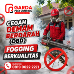 Jasa Fogging Nyamuk Profesional di Jogja: Solusi Efektif & Aman