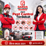 Layanan Jasa Pembasmi Tikus Boyolali dari Pest Control Garda