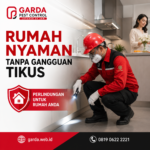 Jasa Pembasmi Tikus untuk Restoran dan Pabrik Boyolali: Solusi Pengendalian Hama Profesional