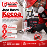 Jasa Pembasmi Kecoa di Bandung Berkualitas Premium