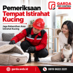 Jasa Pembasmi Kutu Kucing di Boyolali: Solusi Ampuh dan Aman untuk Rumah Anda